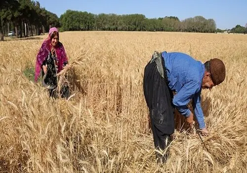 "موسی کلیم‌الله"؛ شروعی برای یک سریال پرهزینه با داستانی معنوی