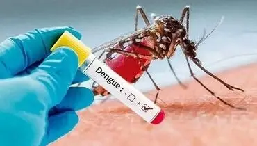 ابتلا ۹۲ نفر به تب دنگی در کشور 