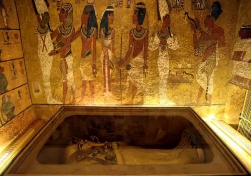 فسیل ۵۲۰ میلیون ساله با مغز و روده‌هایی سالم کشف شد