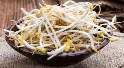 جوانه‌های لوبیا؛ منبع طبیعی تقویت استخوان و سیستم ایمنی

