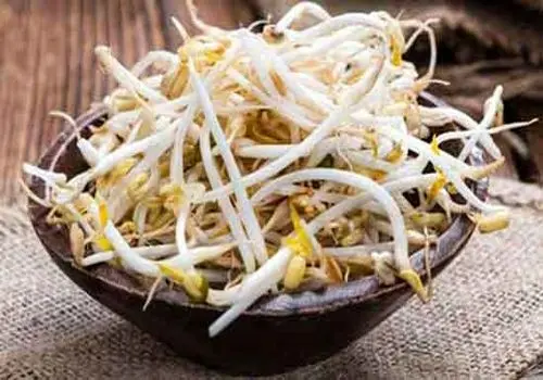 جوانه‌های لوبیا؛ منبع طبیعی تقویت استخوان و سیستم ایمنی

