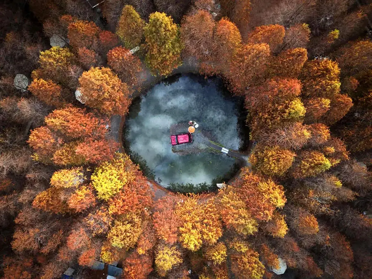 تصاویر شگفت‌انگیز طبیعت؛ شاهکارهایی که داوران را مسحور کردند + عکس
