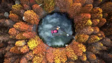 تصاویر شگفت‌انگیز طبیعت؛ شاهکارهایی که داوران را مسحور کردند + عکس
