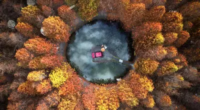 تصاویر شگفت‌انگیز طبیعت؛ شاهکارهایی که داوران را مسحور کردند + عکس
