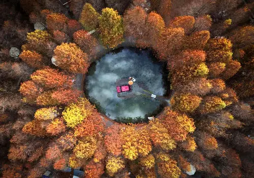 تصاویر شگفت‌انگیز طبیعت؛ شاهکارهایی که داوران را مسحور کردند + عکس
