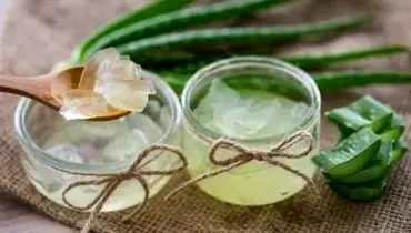 بهترین روش های نگهداری ژل آلوئه ورا در یخچال و فریزر
