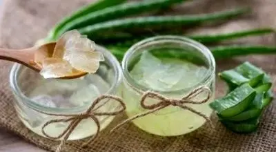 بهترین روش های نگهداری ژل آلوئه ورا در یخچال و فریزر