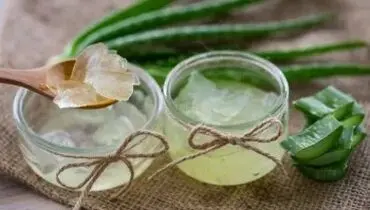 بهترین روش های نگهداری ژل آلوئه ورا در یخچال و فریزر
