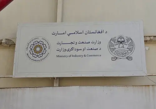 گشت و گذار این مرد ترکیه ای با تله کابین دست ساز و عجیب و غریب خود بین کوه ها + فیلم