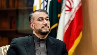 گاف عجیب امیرعبدالهیان در مورد حکم دادگاه لاهه !+ عکس