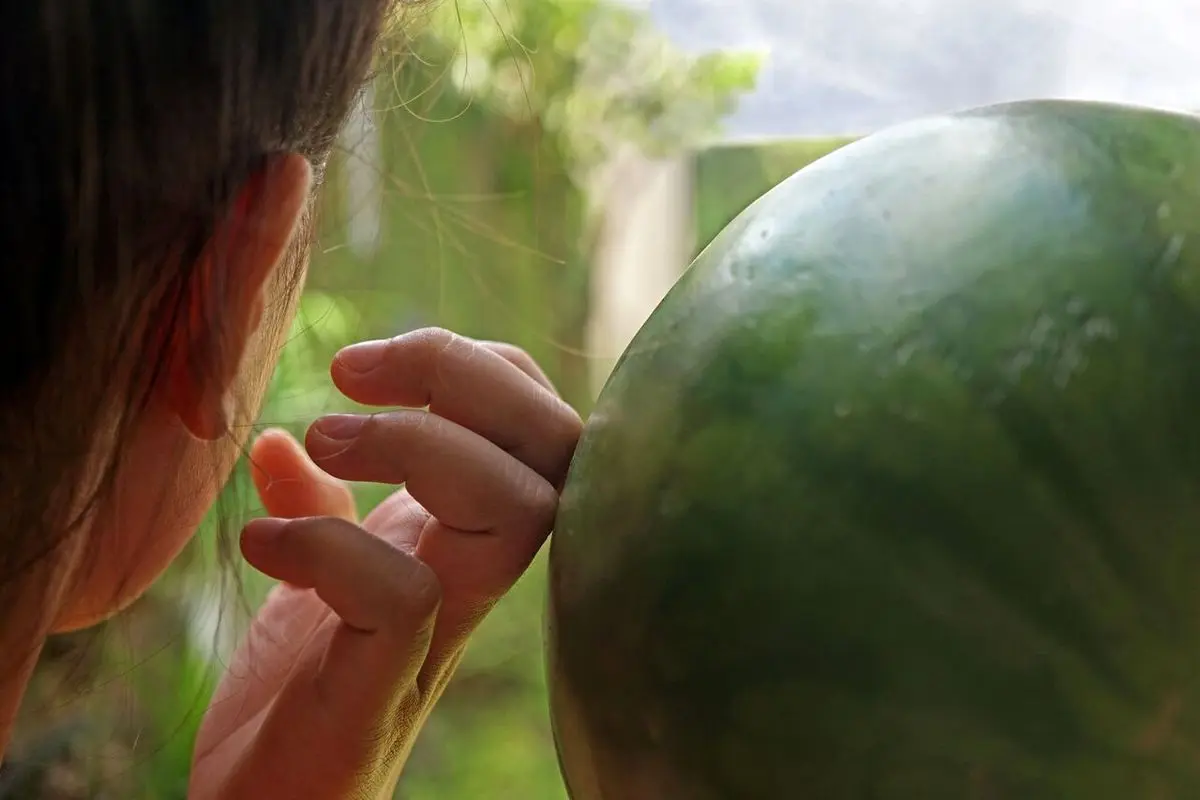 رقم نجومی برای خرید پوست هندوانه در ژاپن+ فیلم