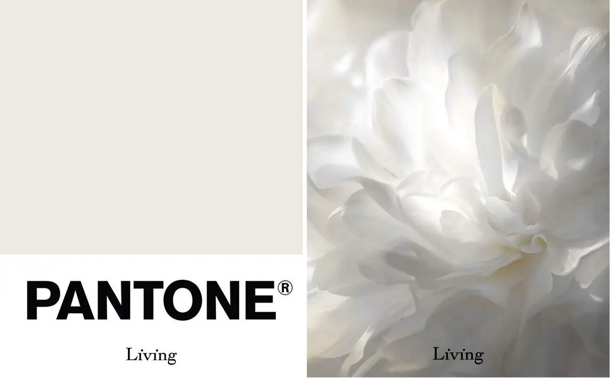 رنگ سال ۲۰۲۶ اعلام شد