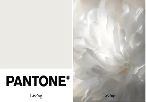 رنگ سال ۲۰۲۶ اعلام شد