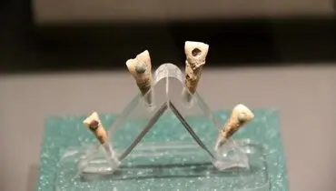 دندان های مرموز باستانی با نگین یشم! + تصاویر