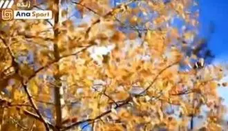 صداو سیما با پخش تصاویر بی‌ربط روی اعصاب استقلالی‌ها رفت/ویدیو