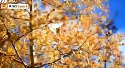 صداو سیما با پخش تصاویر بی‌ربط روی اعصاب استقلالی‌ها رفت/ویدیو
