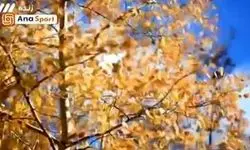 صداو سیما با پخش تصاویر بی‌ربط روی اعصاب استقلالی‌ها رفت/ویدیو