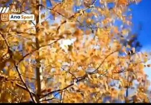 صداو سیما با پخش تصاویر بی‌ربط روی اعصاب استقلالی‌ها رفت/ویدیو