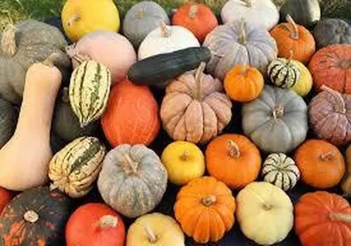 میوه هایی که قند پنهان بالایی دارند بشناسید