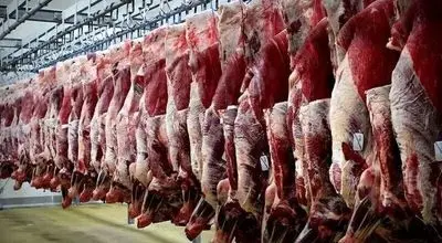 جریمه میلیاردی در انتظار گران فروش های تهران