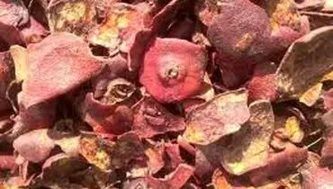 خواص جالب پوست انار خشک شده
