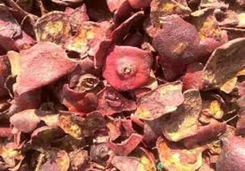 خواص جادویی میوه پاپایا