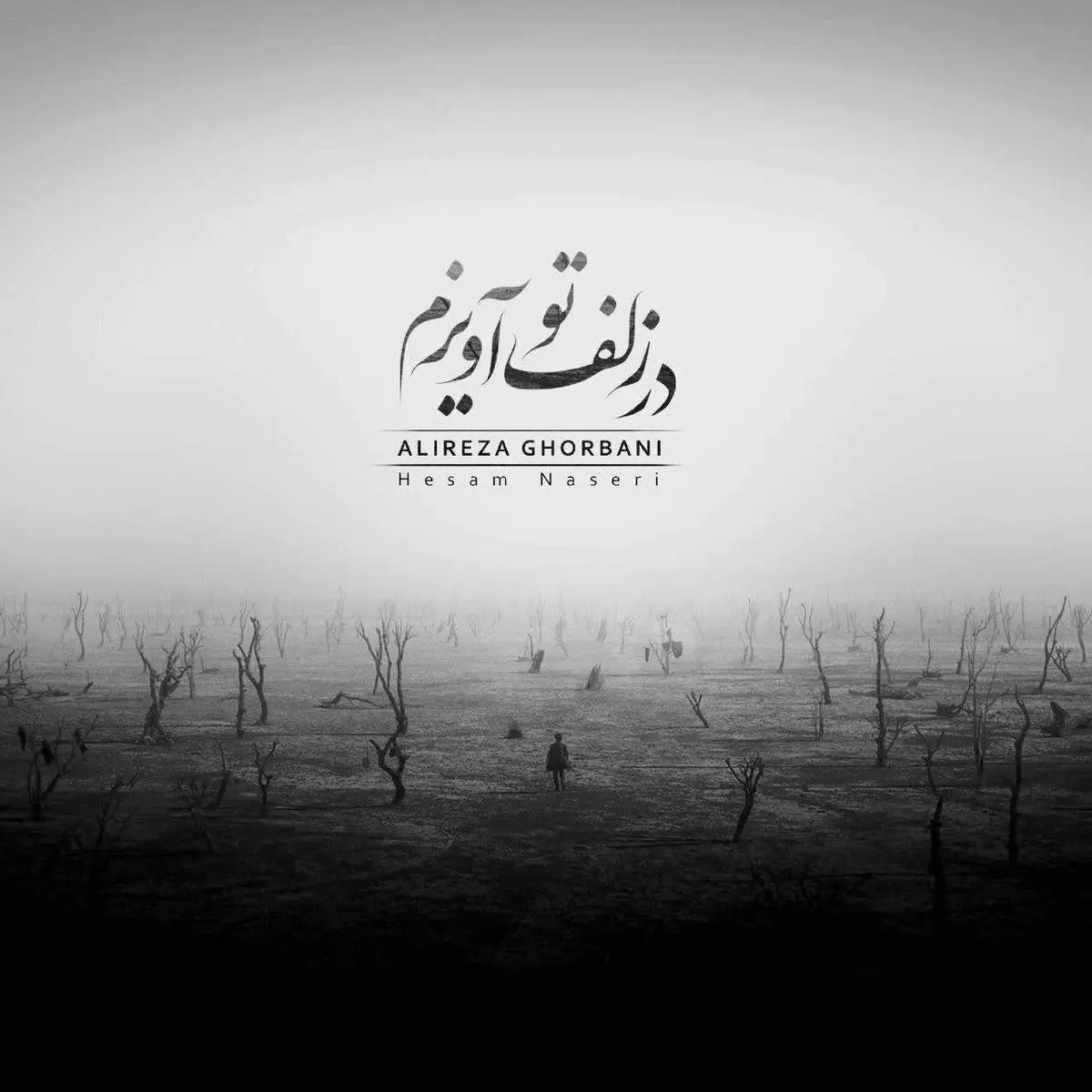 قطعه عارفانه «در زلف تو آویزم»با صدای علیرضا قربانی+موزیکویدئو