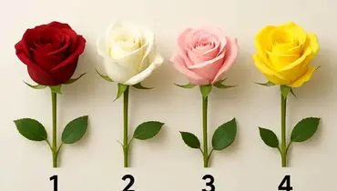 رنگ گل رز مورد علاقه‌ات درباره شخصیتت چه می‌گوید؟