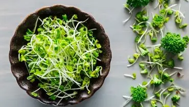 قدرت پنهان جوانه بروکلی؛ درمان طبیعی التهاب در بدن

