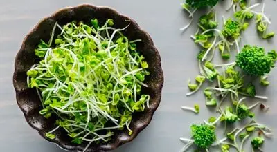 قدرت پنهان جوانه بروکلی؛ درمان طبیعی التهاب در بدن

