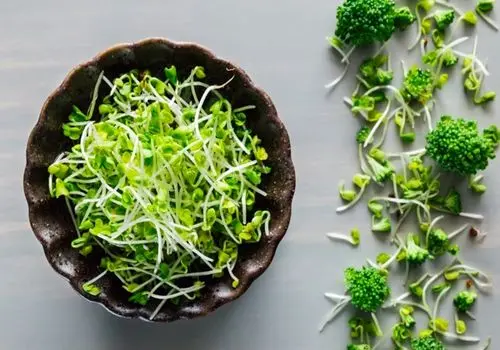 قدرت پنهان جوانه بروکلی؛ درمان طبیعی التهاب در بدن

