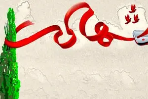 تصویر شهید حمله امروز آمریکا به جزیره لارک