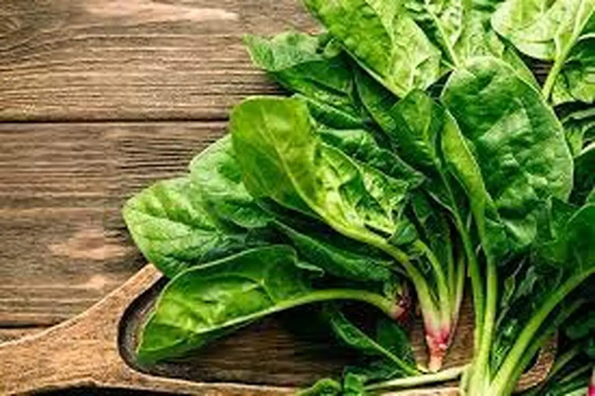  آسان ترین روش خشک کردن اسفناج