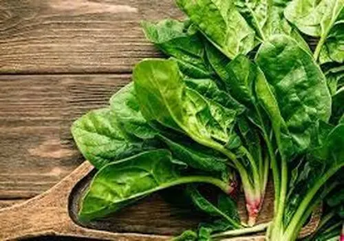  چگونه از کپک زدگی مواد خشک جلوگیری کنیم؟