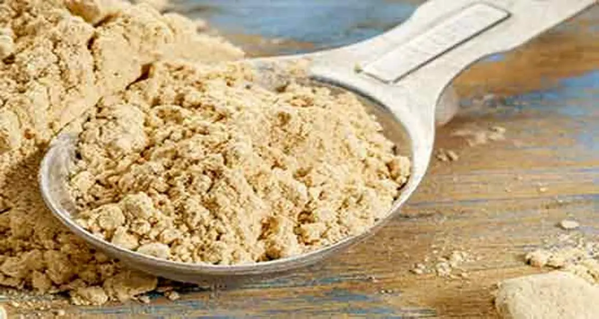 ثعلب چیست؟ آشنایی با خواص، کاربردها و مضرات گیاه ثعلب
