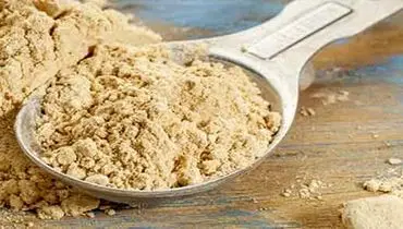 ثعلب چیست؟ آشنایی با خواص، کاربردها و مضرات گیاه ثعلب
