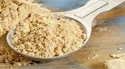 ثعلب چیست؟ آشنایی با خواص، کاربردها و مضرات گیاه ثعلب
