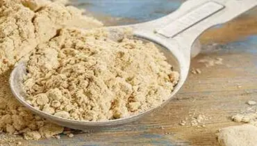 ثعلب چیست؟ آشنایی با خواص، کاربردها و مضرات گیاه ثعلب
