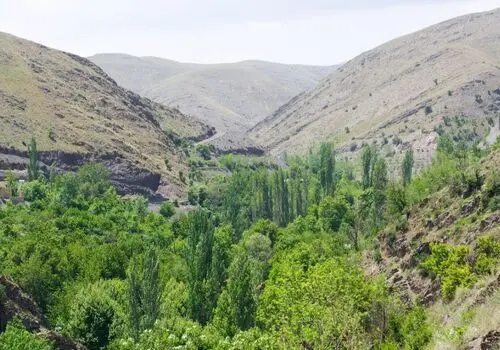 مدارس مشهد مجازی شد