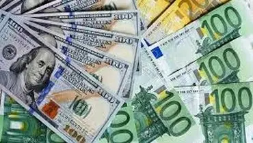 تعیین نرخ ارز با سیاست ارز تک‌نرخی مغایرت دارد
