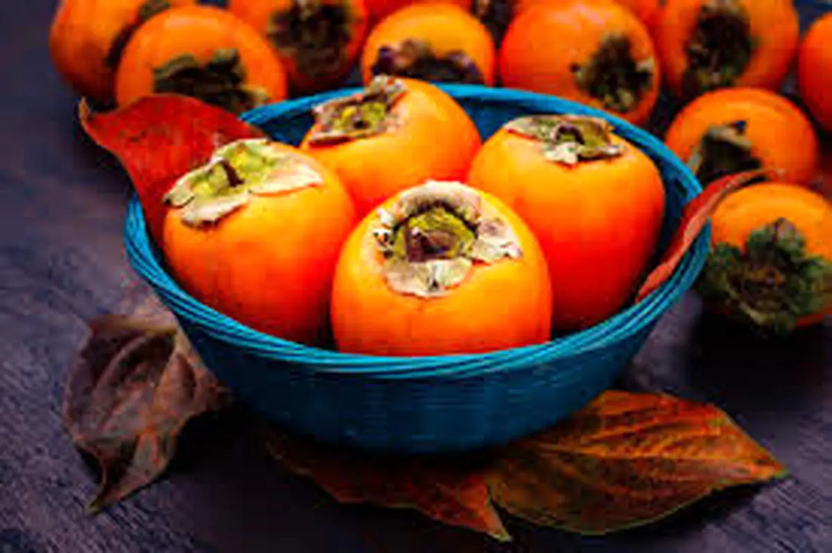 خرمالو واقعا می‌تواند خطرناک باشد؟
