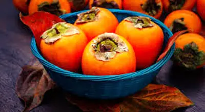 خرمالو واقعا می‌تواند خطرناک باشد؟
