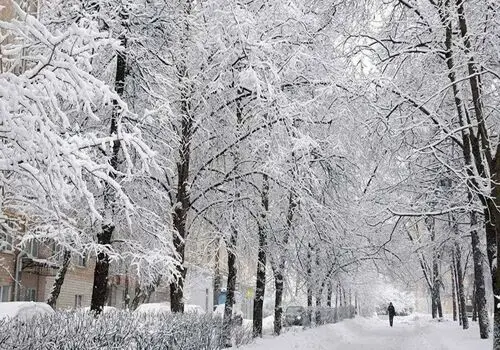 همسرکشی با سلاح گرم این بار در ایلام