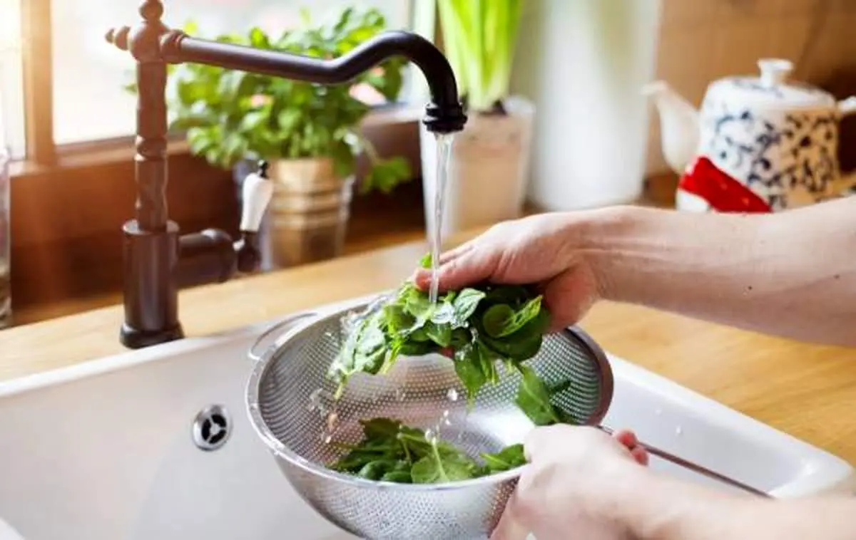 چگونه میتوانیم سبزی خوردن را یک هفته تازه نگه داریم؟