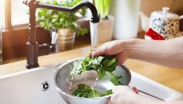 چگونه میتوانیم سبزی خوردن را یک هفته تازه نگه داریم؟