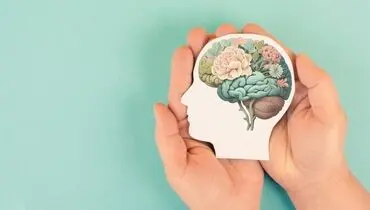 پژوهش جدید: حتی تغییرات کوچک در سبک زندگی می‌تواند مغز را تا سال‌ها محافظت کند