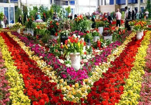متن روز پدر برای استوری