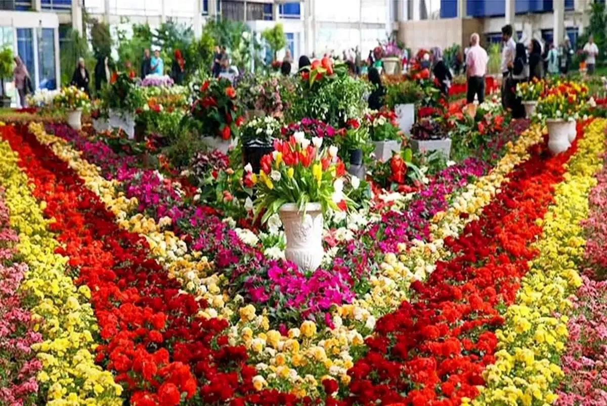 کاهش ۷۰ درصدی تقاضا در بازار گل