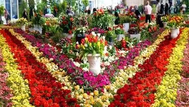  کاهش ۷۰ درصدی تقاضا در بازار گل