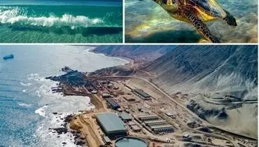 کیش و قشم در تب شوری؛ آب‌شیرین‌کن‌های غیرمجاز، قاتل خلیج فارس! 